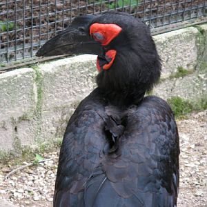 Birdland Park & Gardens 19.05.2007