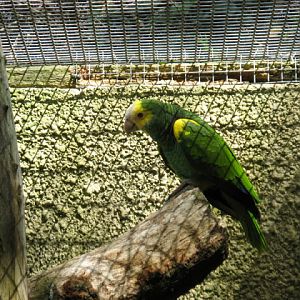 Birdland Park & Gardens 19.05.2007