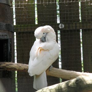 Birdland Park & Gardens 19.05.2007