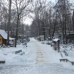 General view from entrance