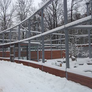 Hronbills and ranes aviaries