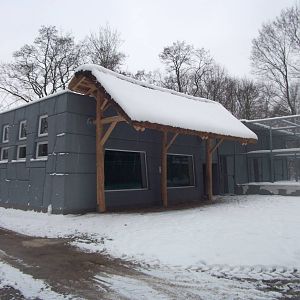 New tapirs and capybaras building