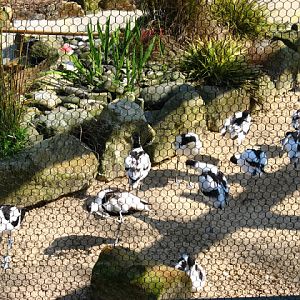 Paradise Park 20.04.2009