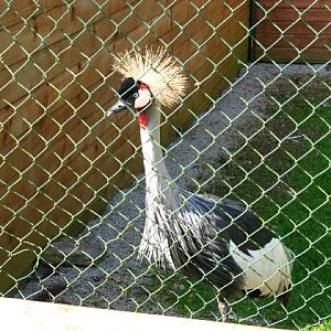 Paradise Park 20.04.2009