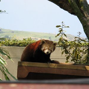 Paradise Park 20.04.2009