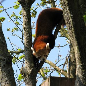 Paradise Park 20.04.2009