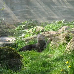 Paradise Park 20.04.2009