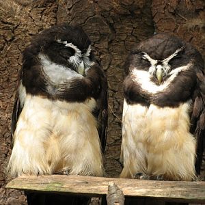 Paradise Park 20.04.2009