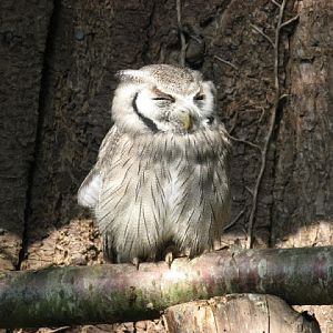 Paradise Park 20.04.2009