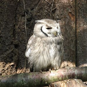 Paradise Park 20.04.2009