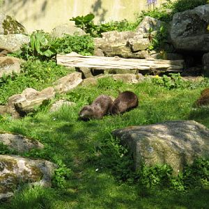 Paradise Park 20.04.2009