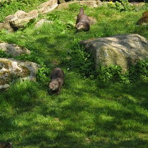 Paradise Park 20.04.2009