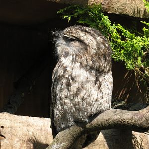 Paradise Park 20.04.2009