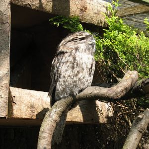 Paradise Park 20.04.2009