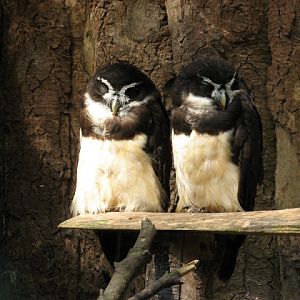 Paradise Park 20.04.2009