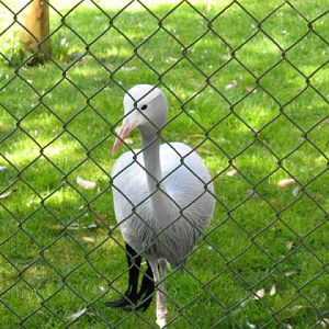 Paradise Park 20.04.2009