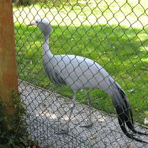 Paradise Park 20.04.2009