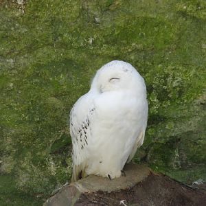 Paradise Park 20.04.2009