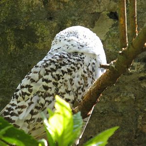 Paradise Park 20.04.2009