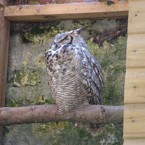 Paradise Park 20.04.2009