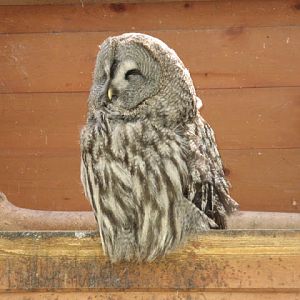 Paradise Park 20.04.2009