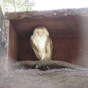 Paradise Park 20.04.2009