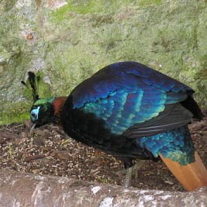 Paradise Park 20.04.2009