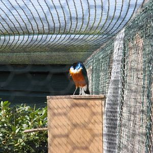 Paradise Park 20.04.2009