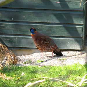 Paradise Park 20.04.2009