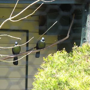 Paradise Park 20.04.2009