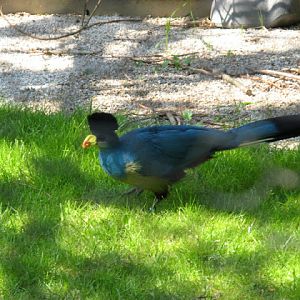 Paradise Park 20.04.2009