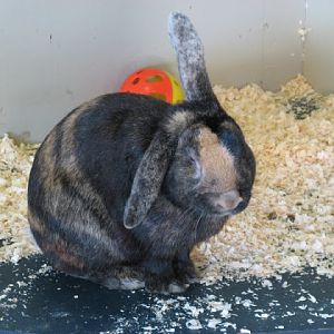 Paradise Park 20.04.2009