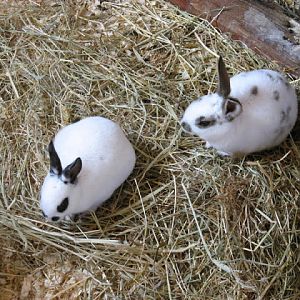 Paradise Park 20.04.2009