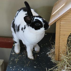 Paradise Park 20.04.2009