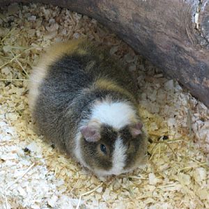 Paradise Park 20.04.2009