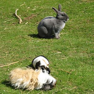 Paradise Park 20.04.2009