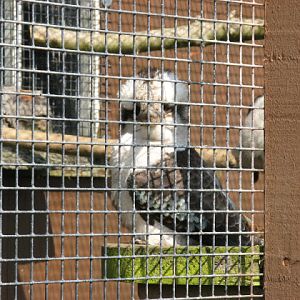 Paradise Park 20.04.2009