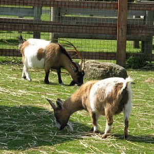 Paradise Park 20.04.2009