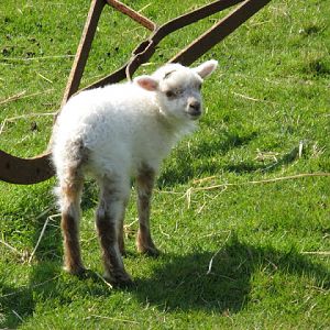 Paradise Park 20.04.2009