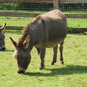 Paradise Park 20.04.2009