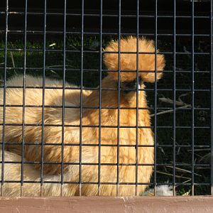 Paradise Park 20.04.2009