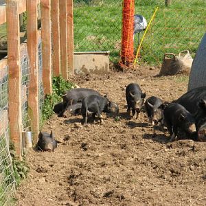 Paradise Park 20.04.2009