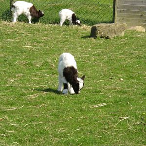 Paradise Park 20.04.2009