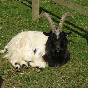 Paradise Park 20.04.2009