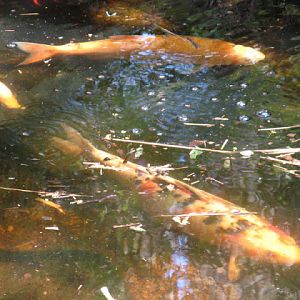 Paradise Park 20.04.2009