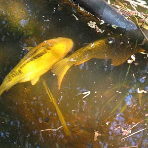 Paradise Park 20.04.2009