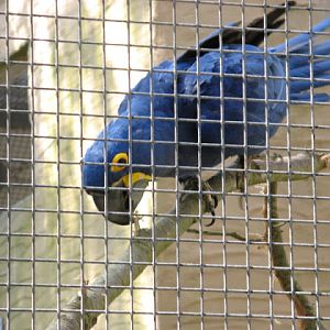 Paradise Park 20.04.2009