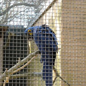 Paradise Park 20.04.2009