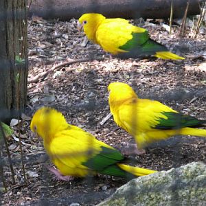 Paradise Park 20.04.2009