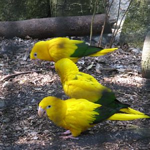 Paradise Park 20.04.2009